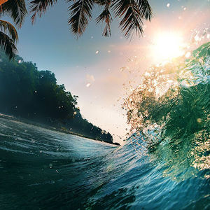 Meet your Posher, Travis